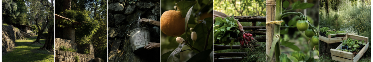 Le Mas du Naoc, vue d'ensemble du jardin