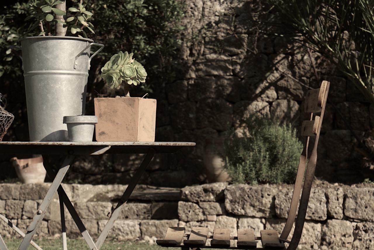 Coin de jardin