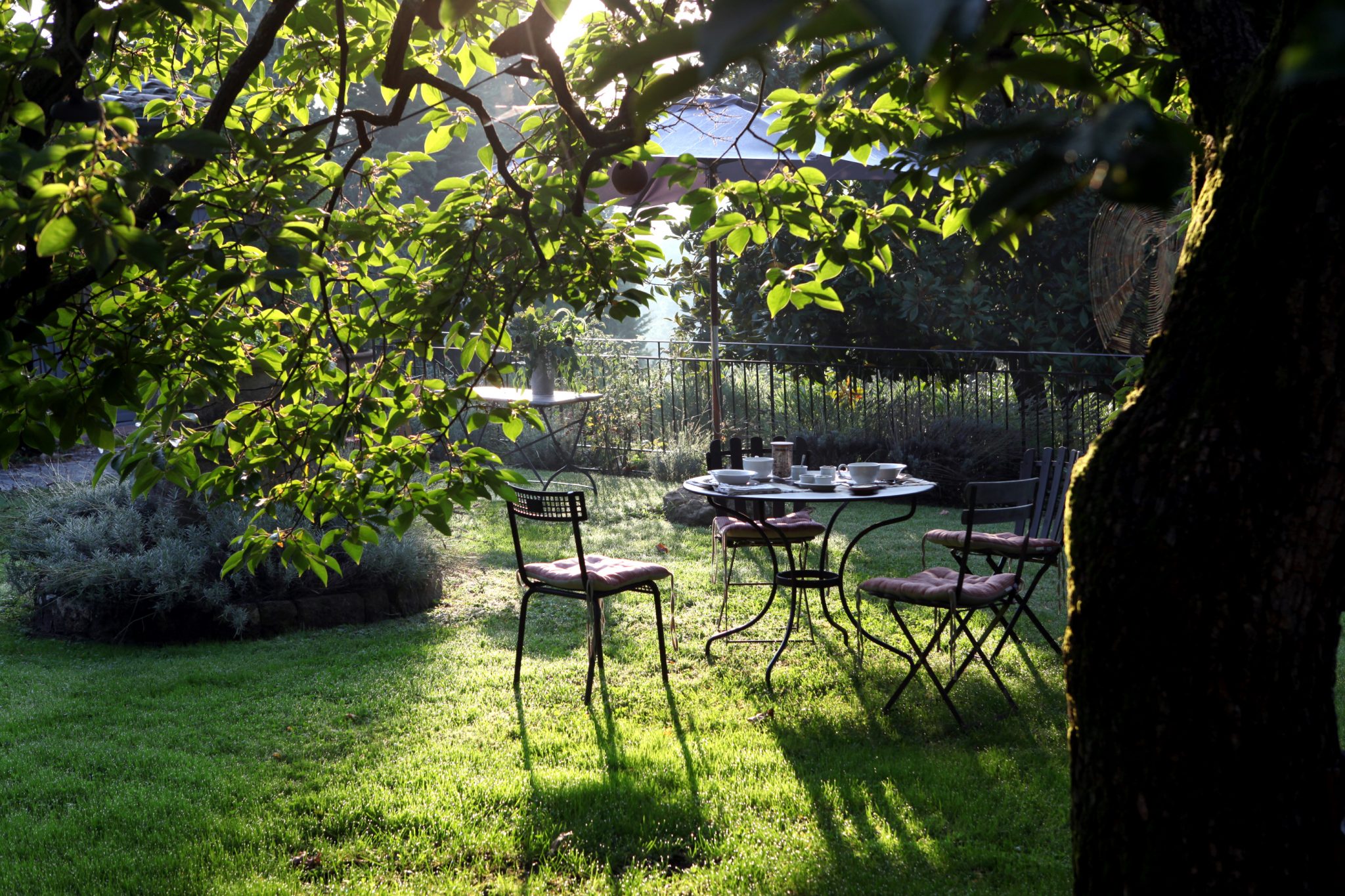Petit déjeuner dans l'herbe