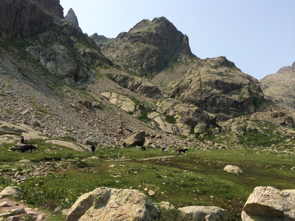 chevaux dans la vallée des merveilles