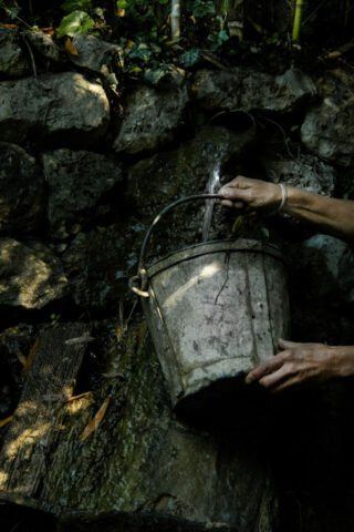Le_Mas_du_Naoc_dans_notre_jardin_eau_de_source